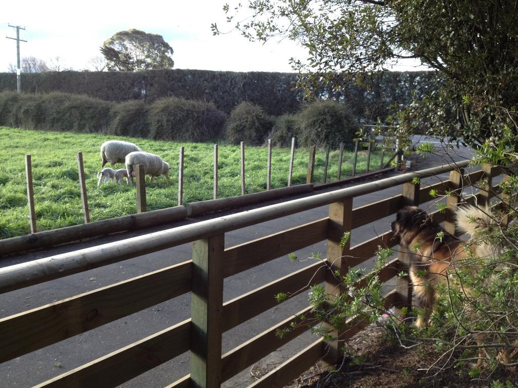 Bluebell Lodge And Cottage Hastings Bagian luar foto