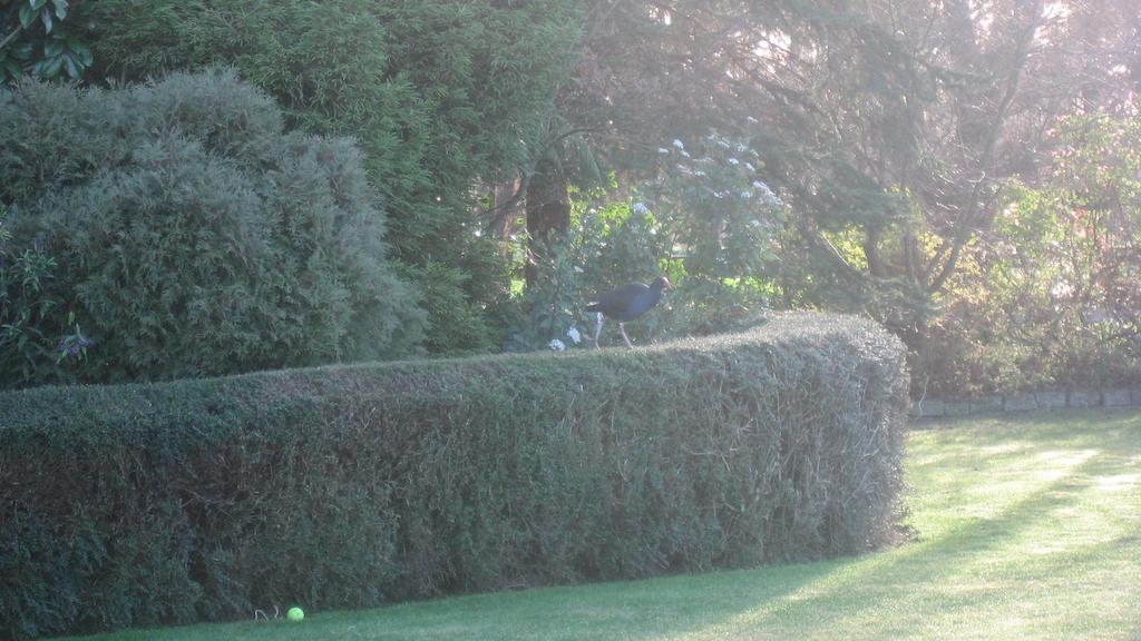 Bluebell Lodge And Cottage Hastings Bagian luar foto