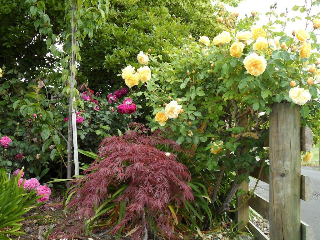 Bluebell Lodge And Cottage Hastings Bagian luar foto