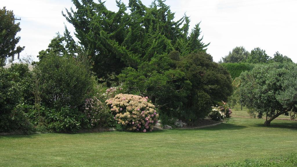 Bluebell Lodge And Cottage Hastings Ruang foto