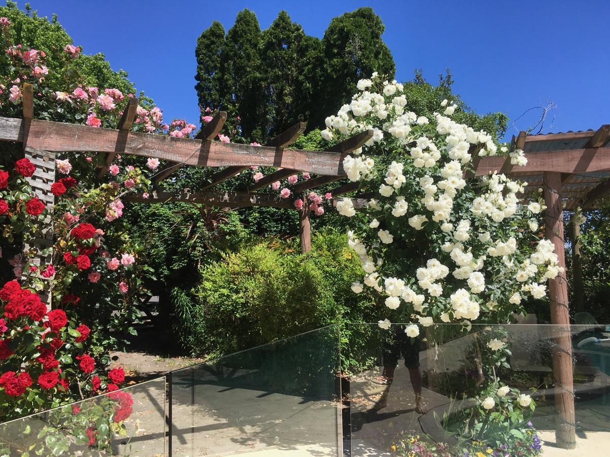 Bluebell Lodge And Cottage Hastings Bagian luar foto